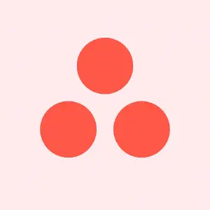 Asana - Intuitive work management with strict task ownership